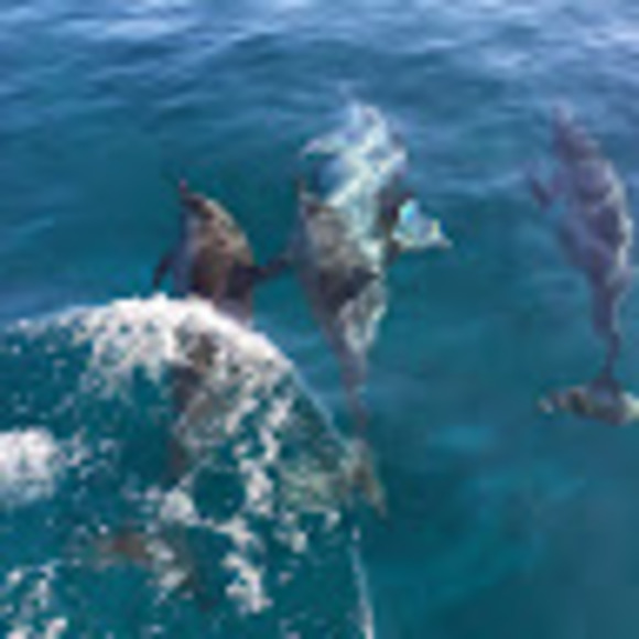 Meet your Posher, Catskills39 - Picture 1 of 1